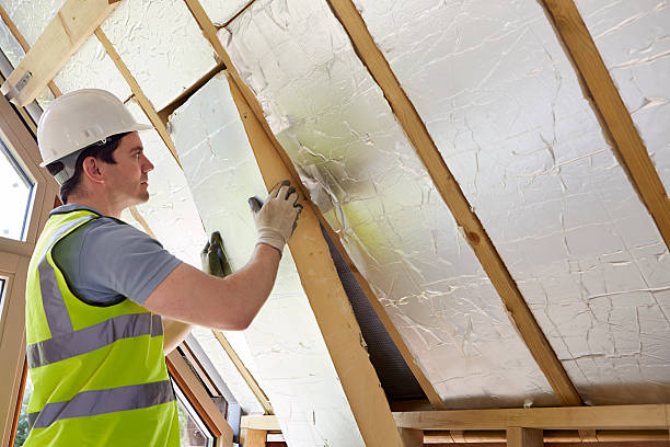 Best Insulation Maintenance and Repair in Staples, MN